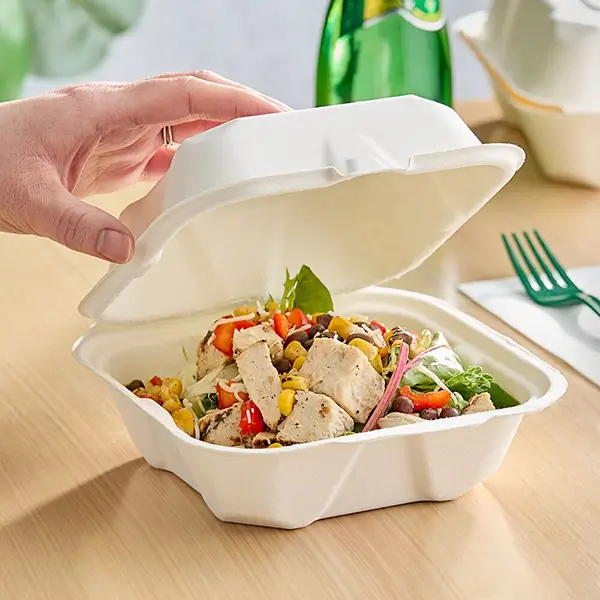 Square hinged bagasse salad bowl